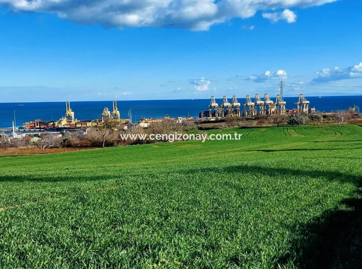 Tekirdağ Barbaros Asyaport Limanına Yakın 17 980 M2 Satılık Tarla