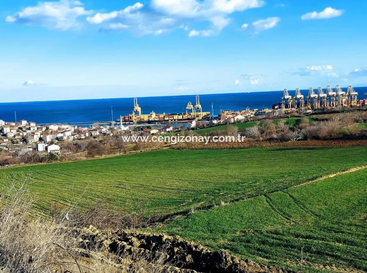 Tekirdağ Barbaros Asyaport Limanına Yakın 17 980 M2 Satılık Tarla