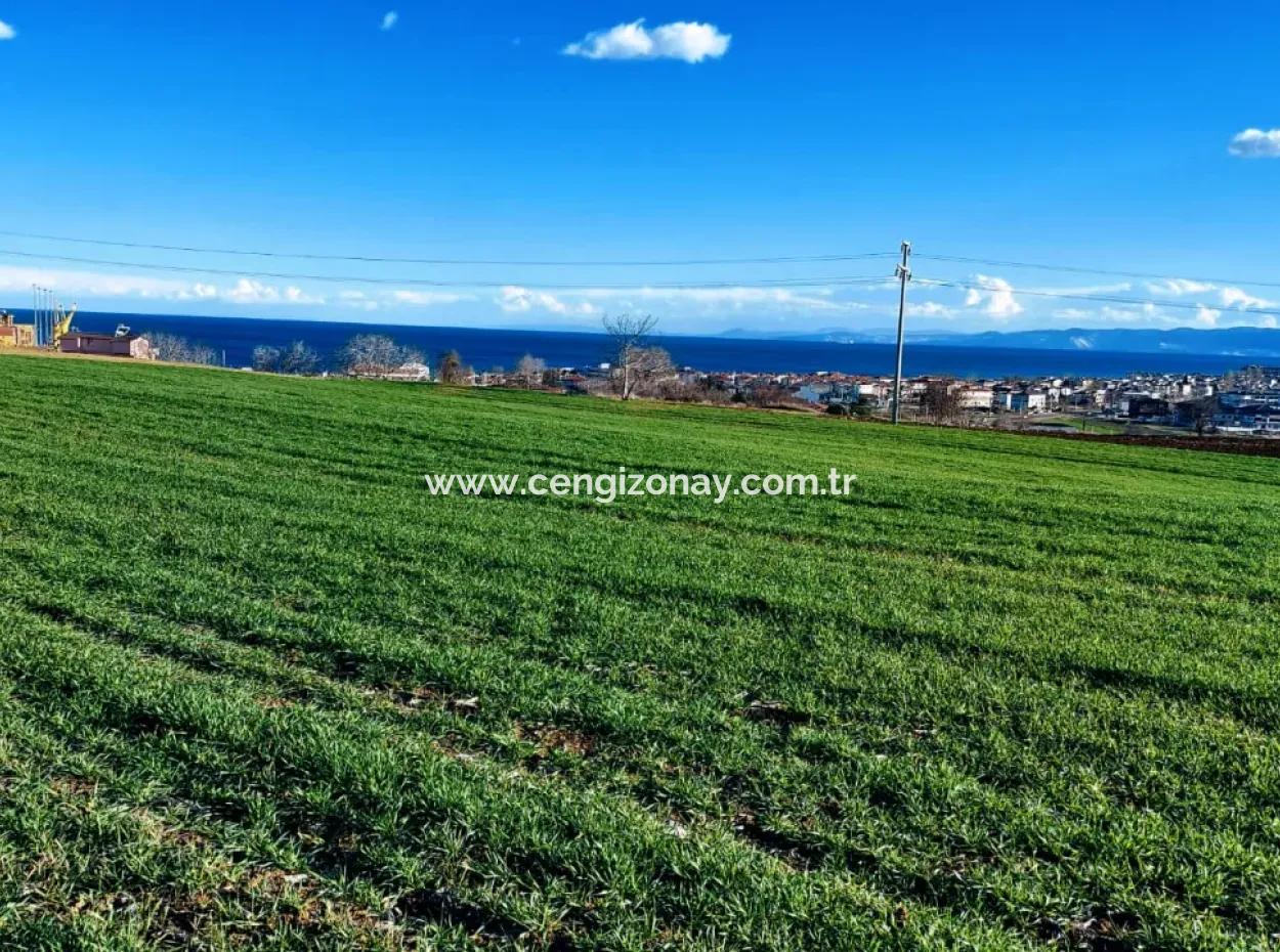 Tekirdağ Süleymanpaşa Barbaros'ta Bulunan Bu 11.100 M2 Konut İmarlı Arazi, Harika Bir Konumda Yer Alıyor.