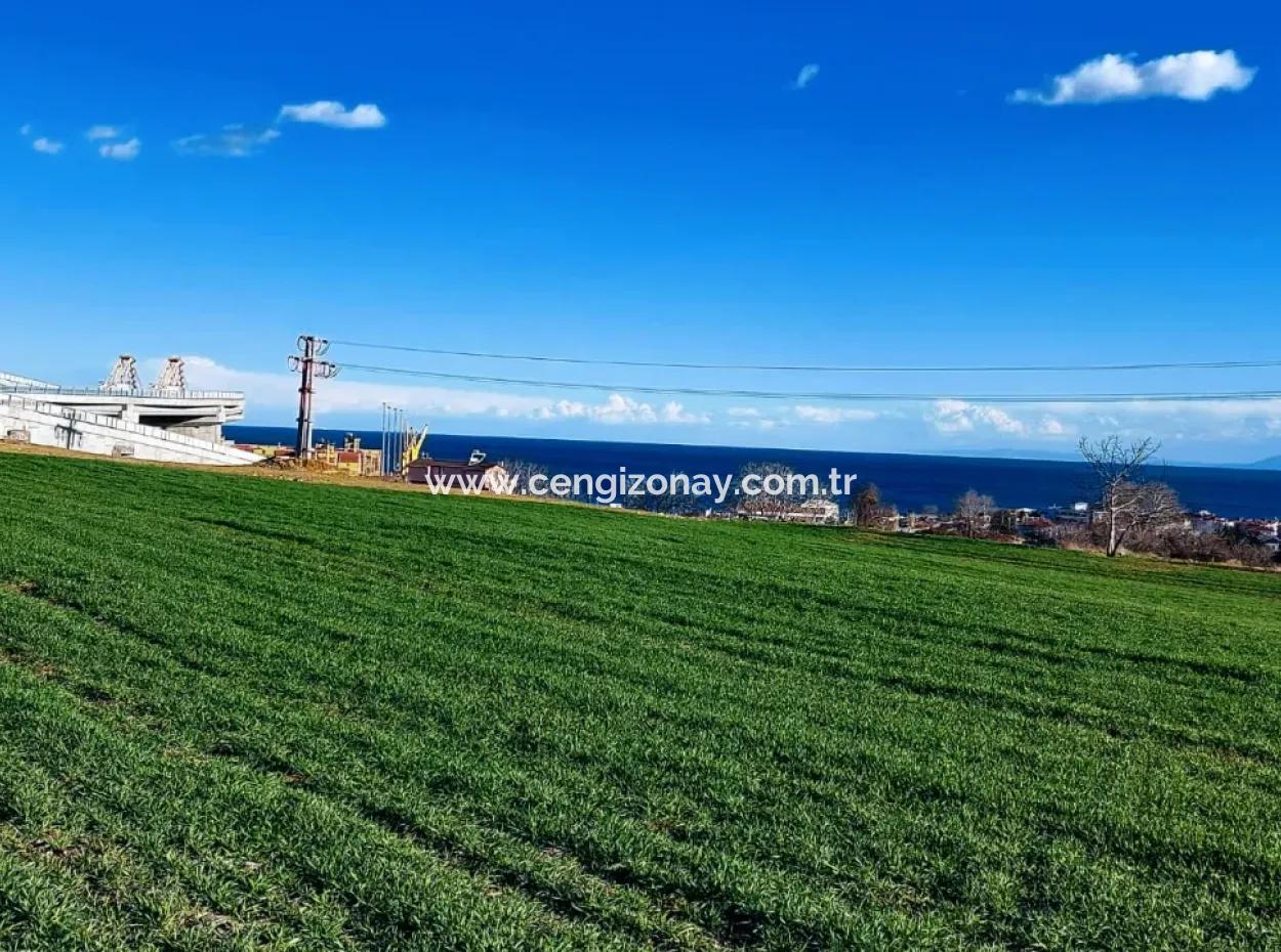 Tekirdağ Süleymanpaşa Barbaros'ta Bulunan Bu 11.100 M2 Konut İmarlı Arazi, Harika Bir Konumda Yer Alıyor.