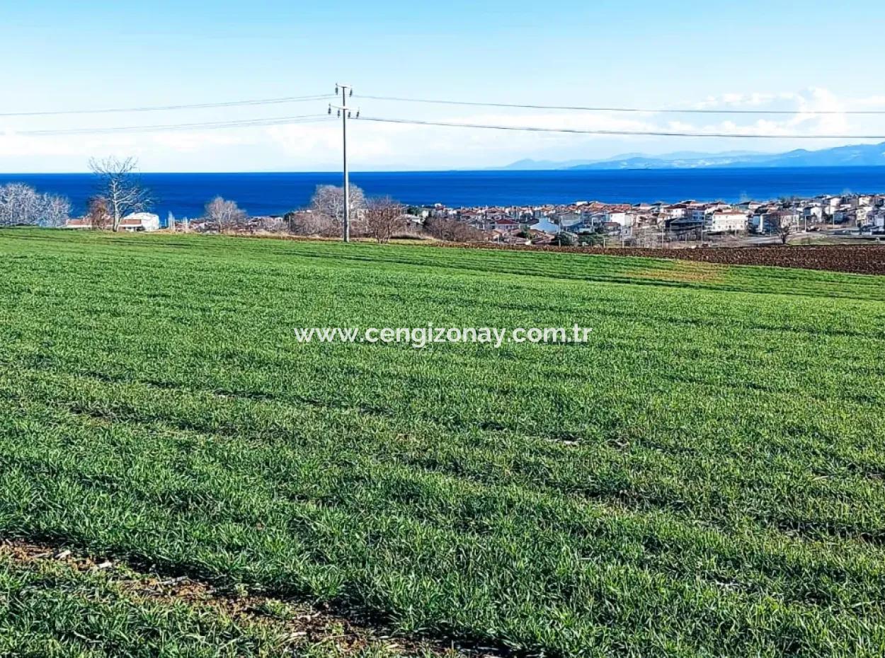 Tekirdağ Süleymanpaşa Barbaros'ta Bulunan Bu 11.100 M2 Konut İmarlı Arazi, Harika Bir Konumda Yer Alıyor.