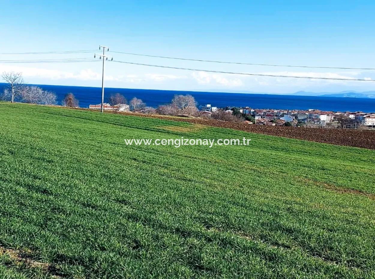 Tekirdağ Süleymanpaşa Barbaros'ta Bulunan Bu 11.100 M2 Konut İmarlı Arazi, Harika Bir Konumda Yer Alıyor.