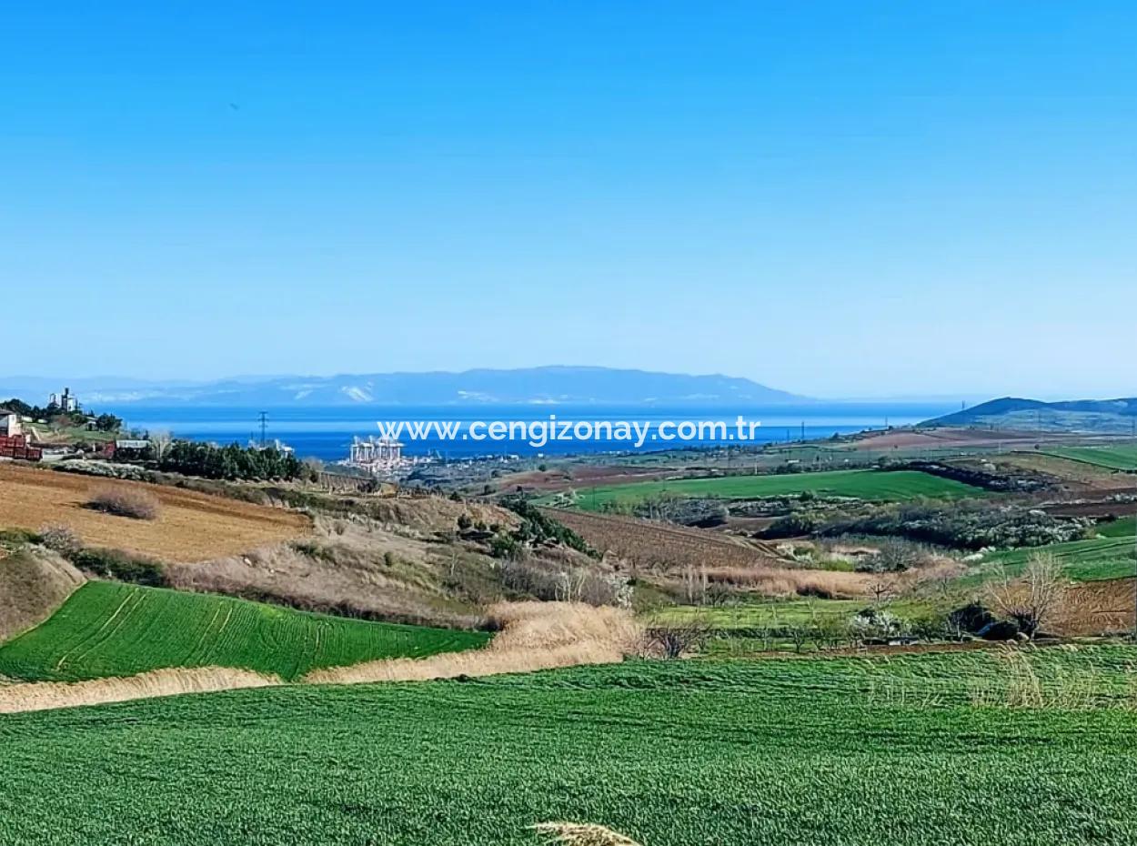 Tekirdağ'ın Nusuratlı Mevkisinde 19.500 Metrekarelik Ticari Ve Sanayi Alanında Satılık Tarla