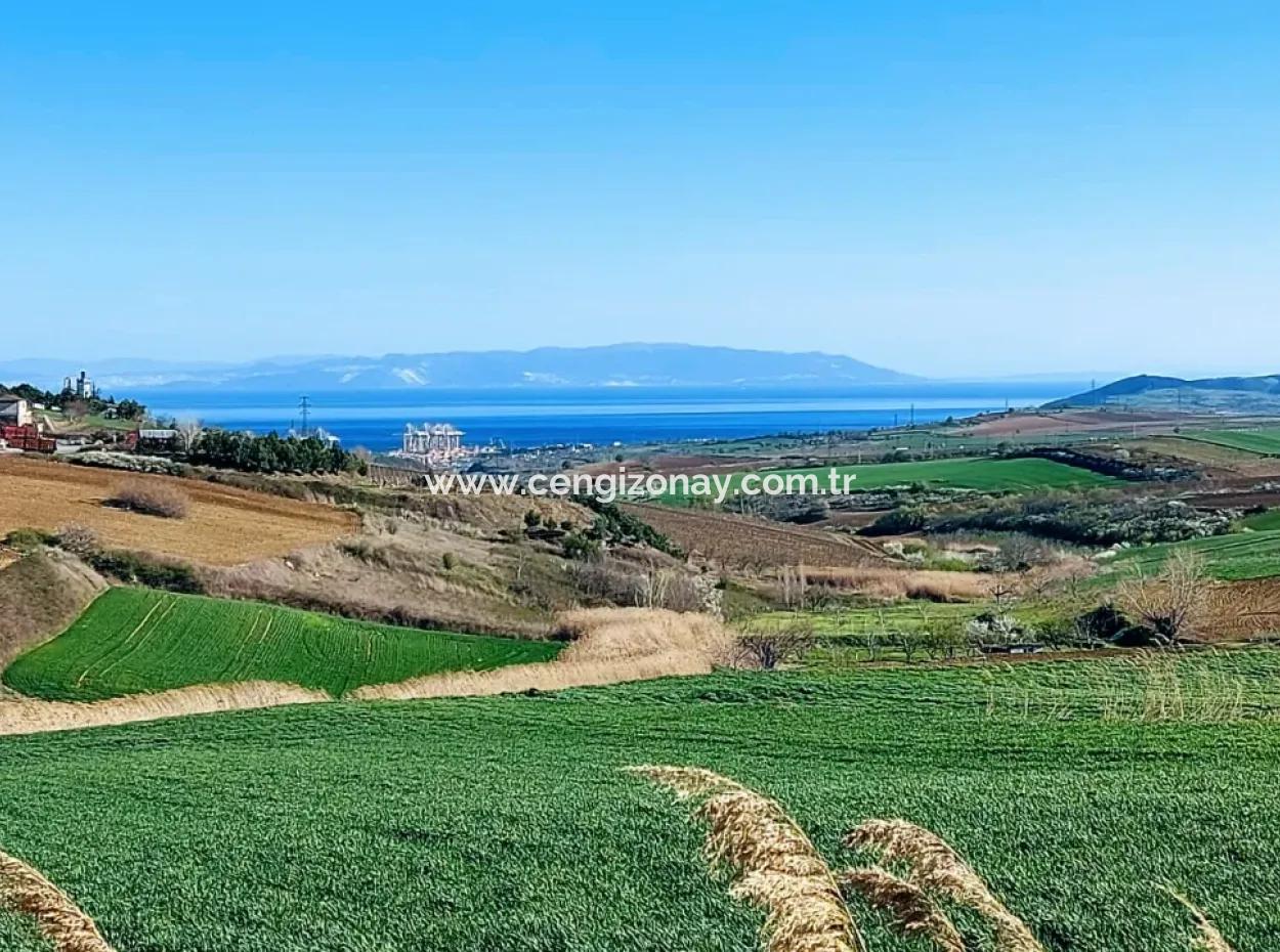 Tekirdağ'ın Nusuratlı Mevkisinde 19.500 Metrekarelik Ticari Ve Sanayi Alanında Satılık Tarla