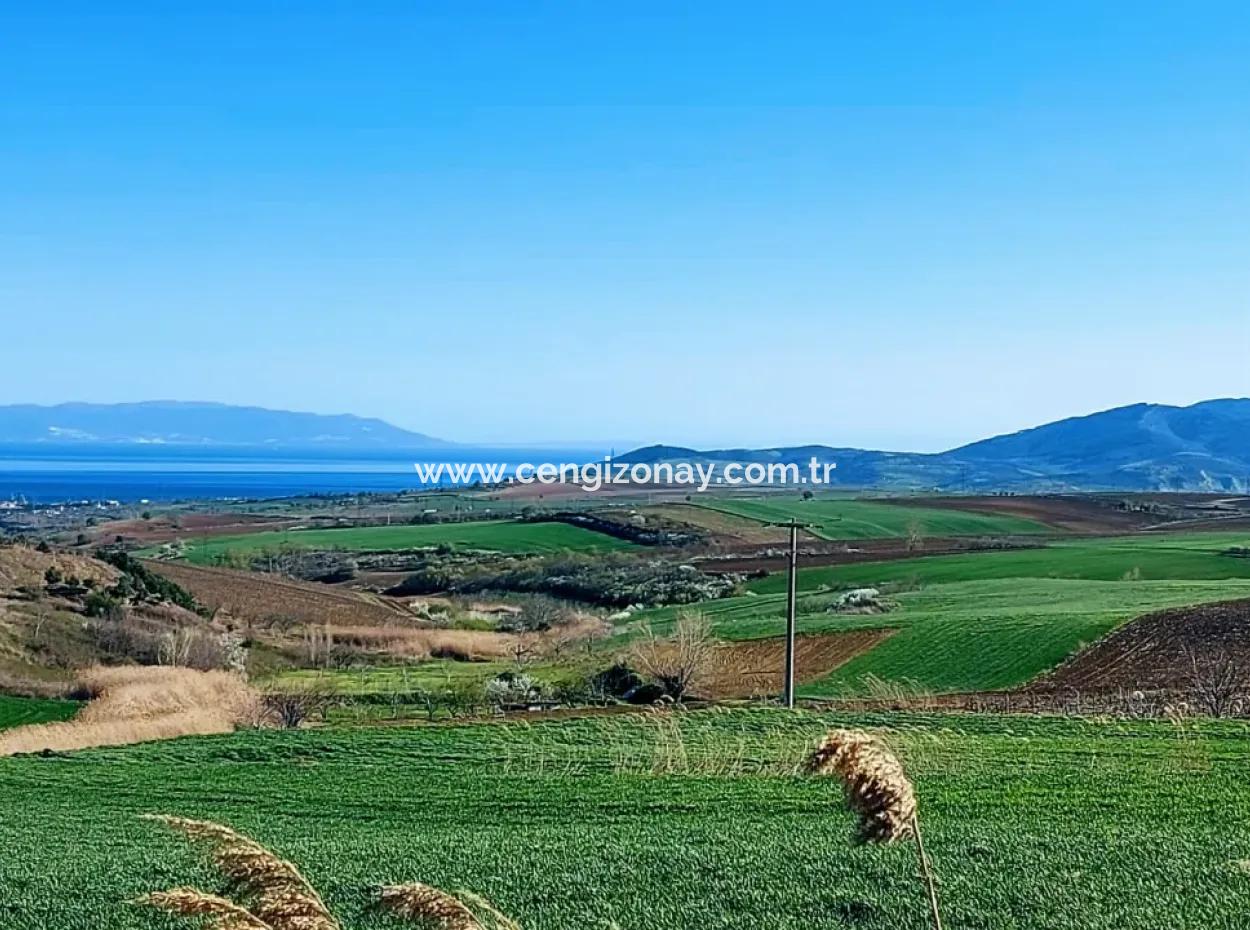 Tekirdağ'ın Nusuratlı Mevkisinde 19.500 Metrekarelik Ticari Ve Sanayi Alanında Satılık Tarla