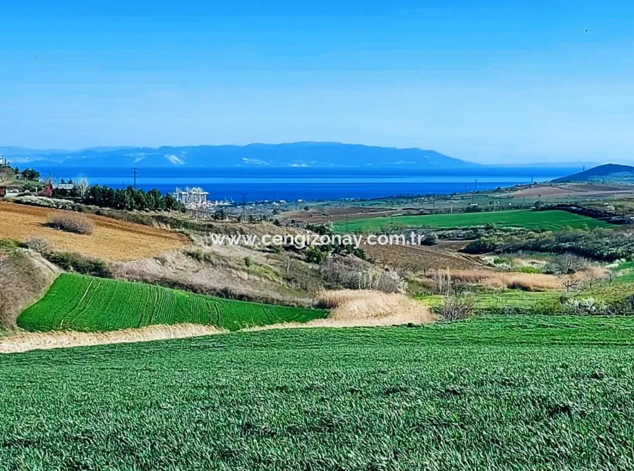 Tekirdağ'ın Nusuratlı Mevkisinde 19.500 Metrekarelik Ticari Ve Sanayi Alanında Satılık Tarla