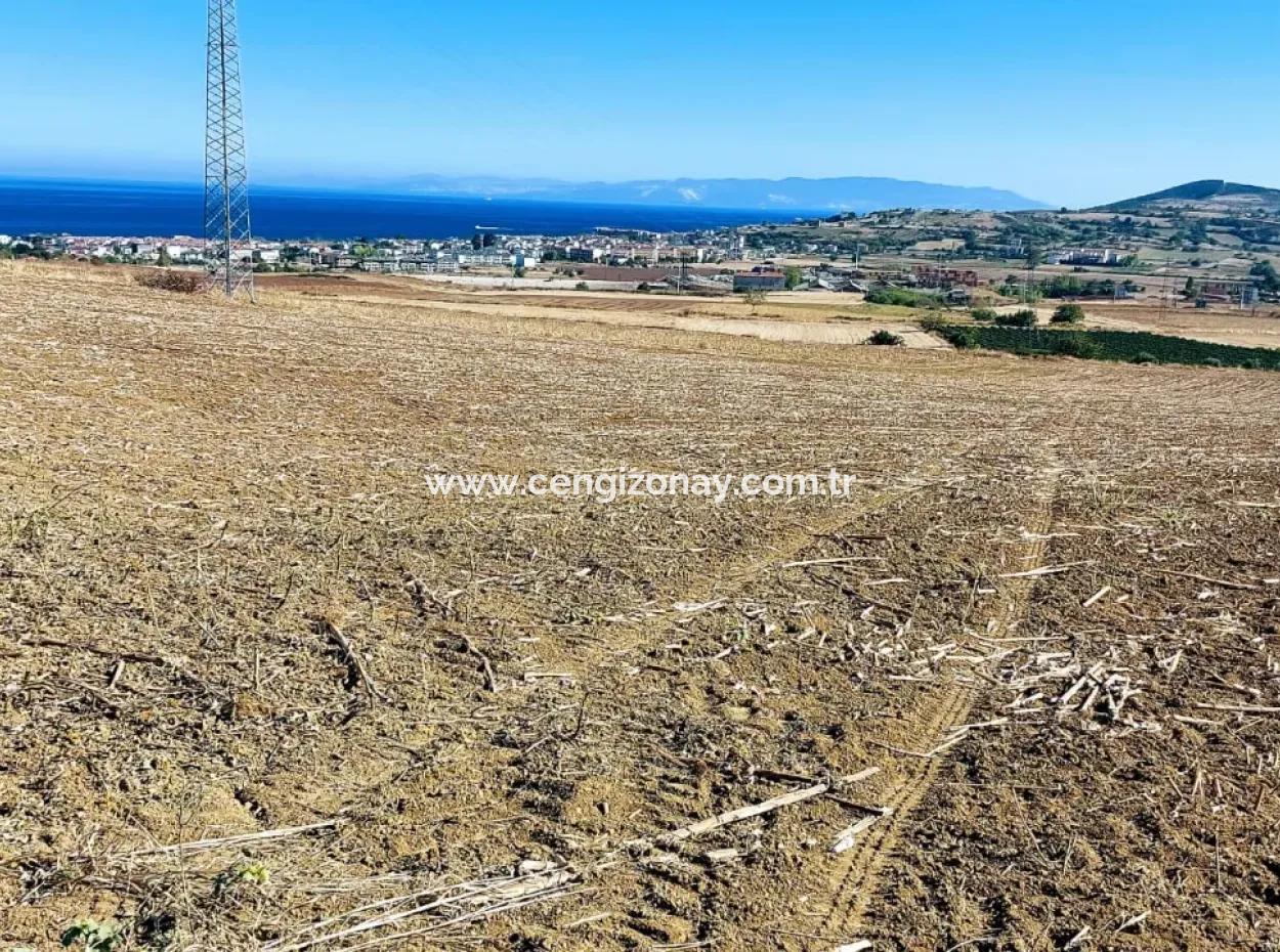 Tekirdağ Barbaros'ta Bulunan 21,900 M2 Arsa, Asyaport Limanı Mevcut İmar Planı İçinde Yer Almaktadır