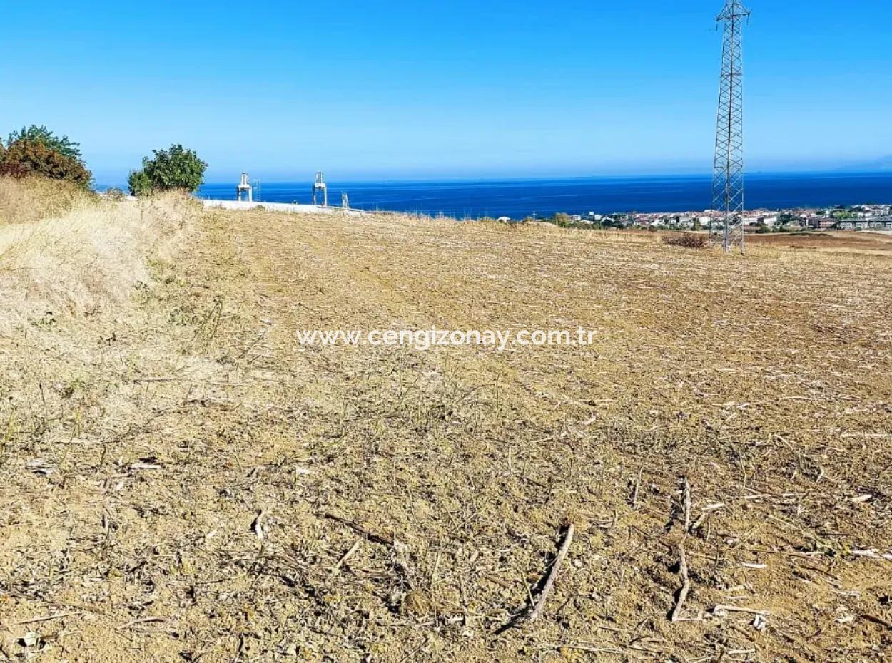 Tekirdağ Barbaros'ta Bulunan 21,900 M2 Arsa, Asyaport Limanı Mevcut İmar Planı İçinde Yer Almaktadır