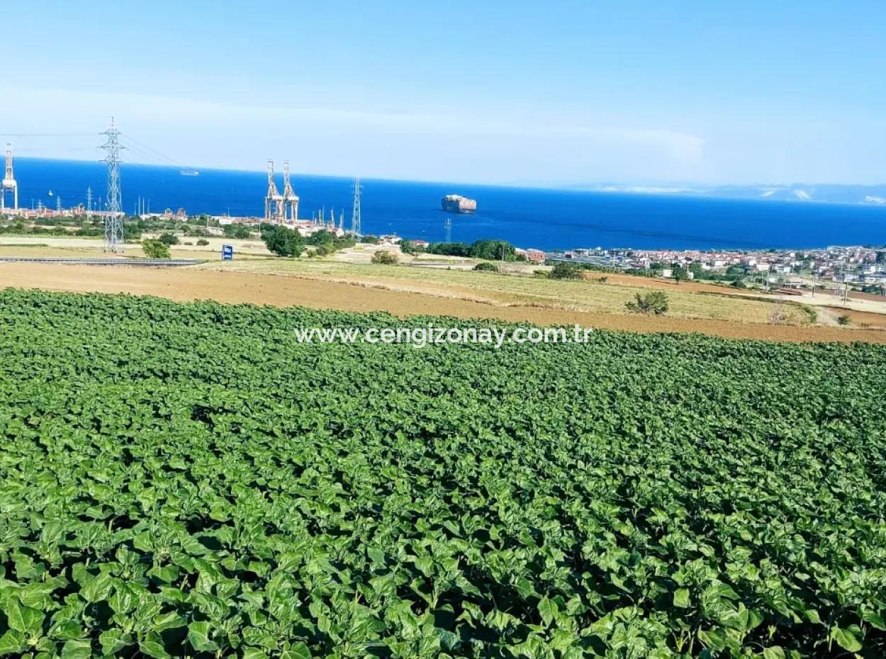 Tekirdağ Barbaros'ta Bulunan 17,980 M2 Arsa, Asyaport Liman Yolu'na Cepheli Konumdadır.