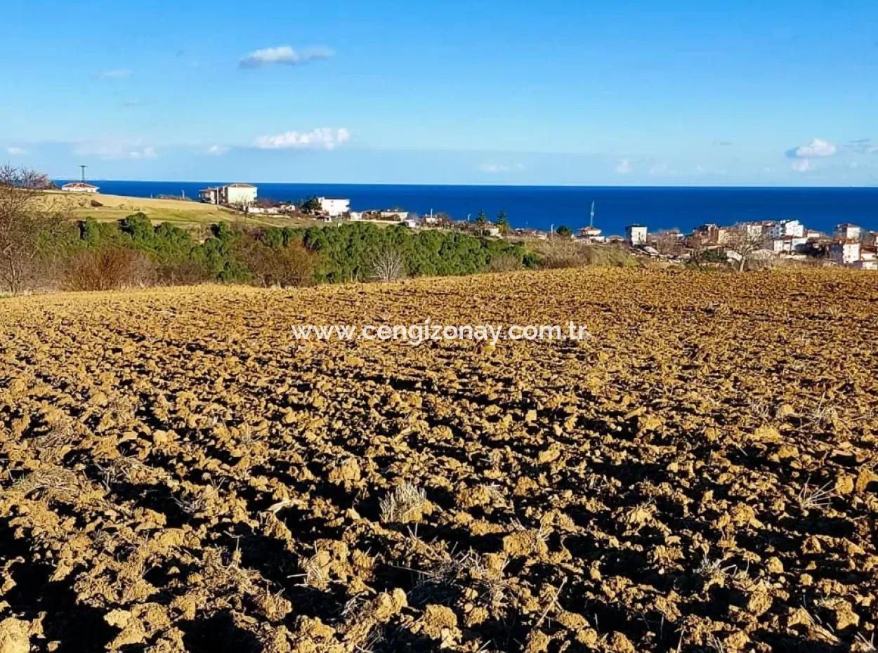 Tekirdağ Barbaros Asyaport Limanına Yakın, Muazzam Manzaralı 17.100 M2 Konut İmarlı Tarla