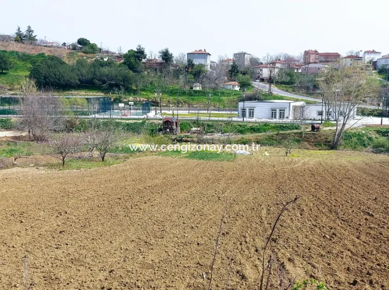 Asyaport Limanına Çok Yakın Yüksek Kazanç Garantisi Konut İmarlı Yer