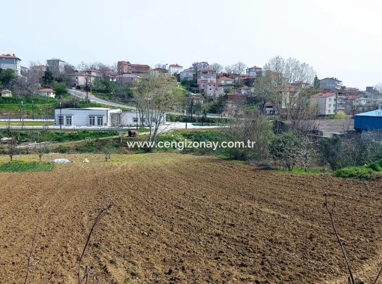 Asyaport Limanına Çok Yakın Yüksek Kazanç Garantisi Konut İmarlı Yer