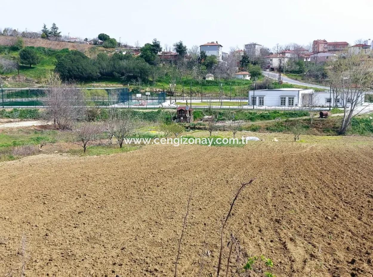 Asyaport Limanına Çok Yakın Yüksek Kazanç Garantisi Konut İmarlı Yer