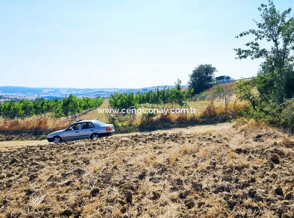 Tekirdağ Aşağkılıçlı Mah. Anayol Cepheli 2.340 M2 Al - Sata Uygun Yüksek Kazanç Vaaed Eden Acil Satılık Kupon Tarla