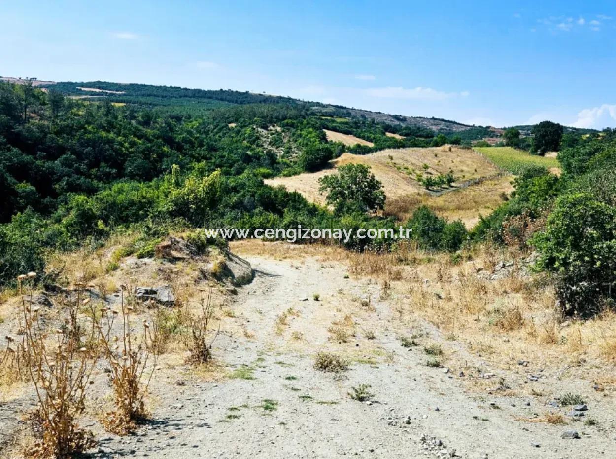 Tekirdağ Çanakçı Mahallesinde Kazançlı Yatırım Yapmak İsteyenler İçin Acil Satılık Kelepir Kopon Tarla