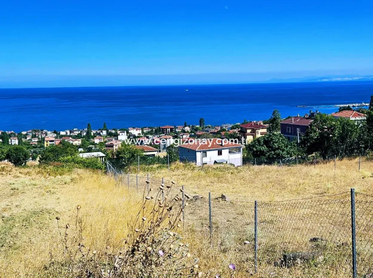 Tekirdağ Barbarosta Acil Satılık 4 Tarafı Yol Cephe Tatırımlık Yer Arayanlar İçin Kaçırılmayacak Fırsat