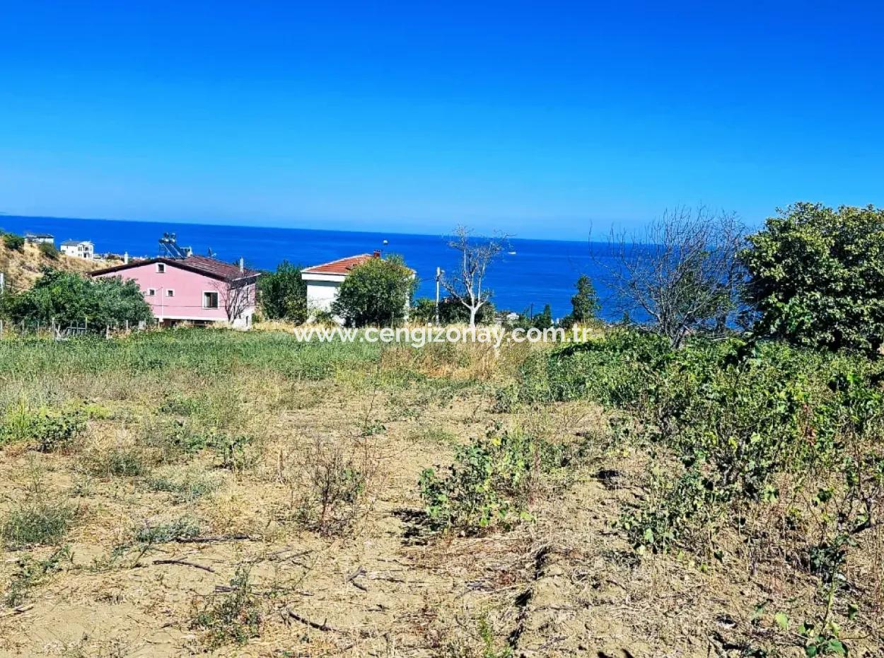 Tekirdağ Barbarosta Acil Satılık 4 Tarafı Yol Cephe Tatırımlık Yer Arayanlar İçin Kaçırılmayacak Fırsat