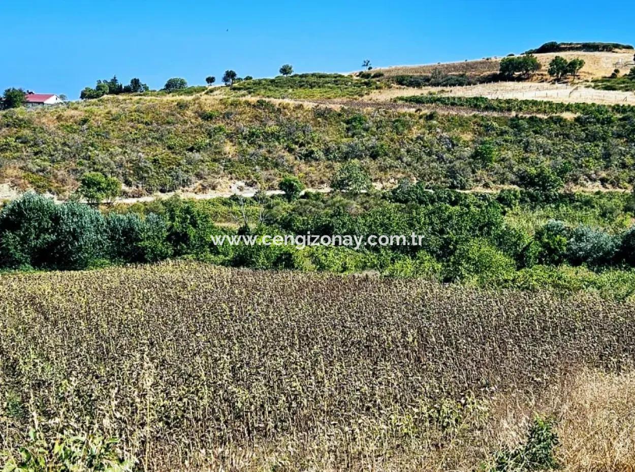 Tekirdağ Barbarosta Acil Satılık 9.100 M2 Villa İmarlı Tarla