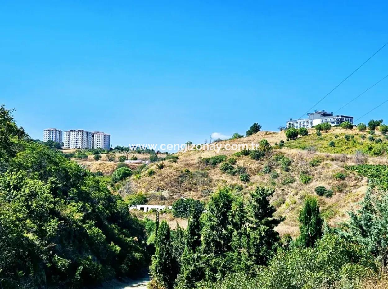 Tekirdağ Barbarosta Acil Satılık 9.100 M2 Villa İmarlı Tarla