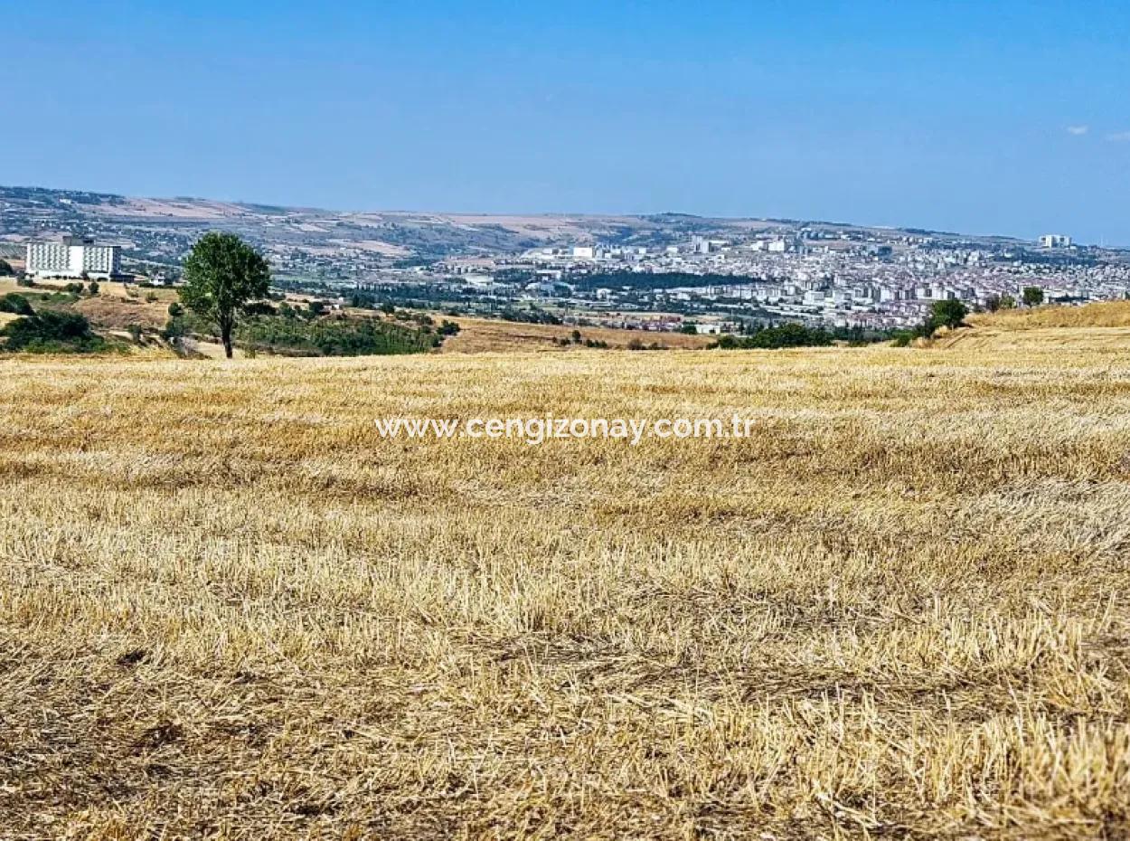 Tekirdağ Barbarosta Acil Satılık 2.650 M2 Villa İmarlı Yatırıma Uygun Kupon Tarla