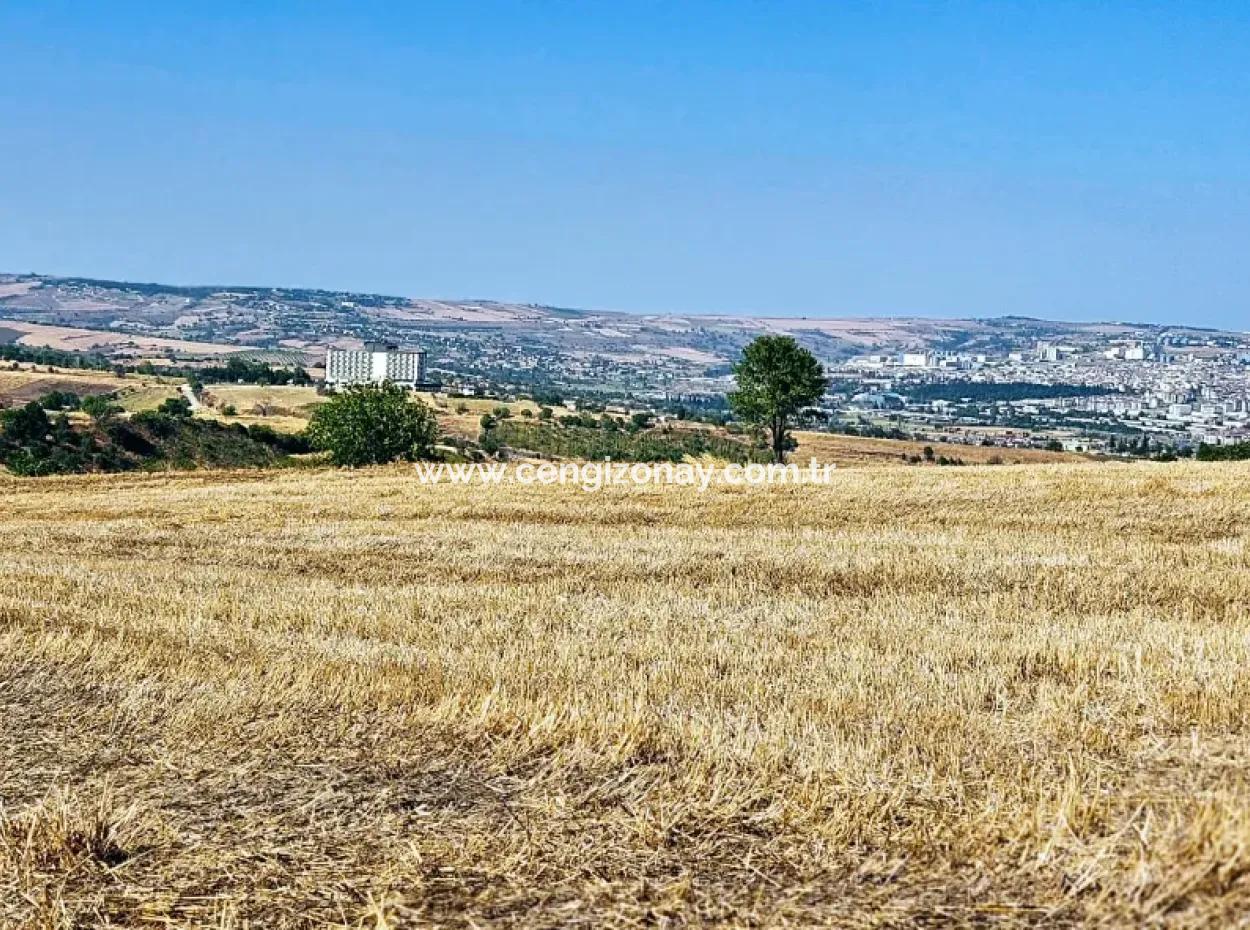 Tekirdağ Barbarosta Acil Satılık 2.650 M2 Villa İmarlı Yatırıma Uygun Kupon Tarla