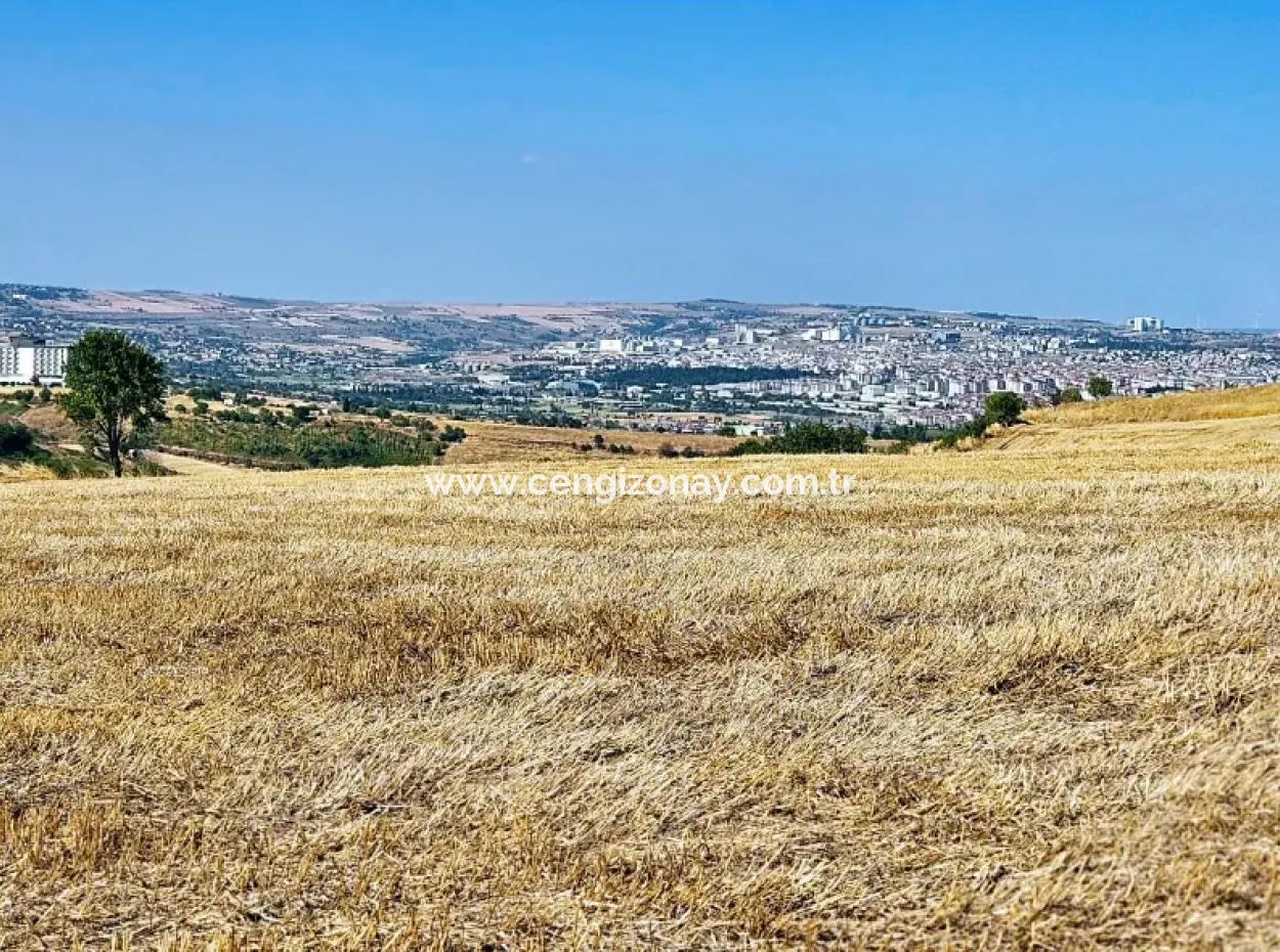 Tekirdağ Barbarosta Acil Satılık 2.650 M2 Villa İmarlı Yatırıma Uygun Kupon Tarla