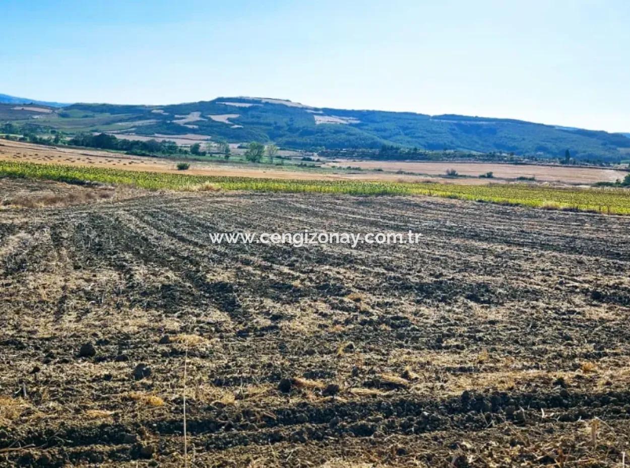 Asyaport Limanı Mevcut İmara Çok Yakın Yatırımlık Yapmak İsteyenler İçin Kaçırılmayacak Fırsat Arazi