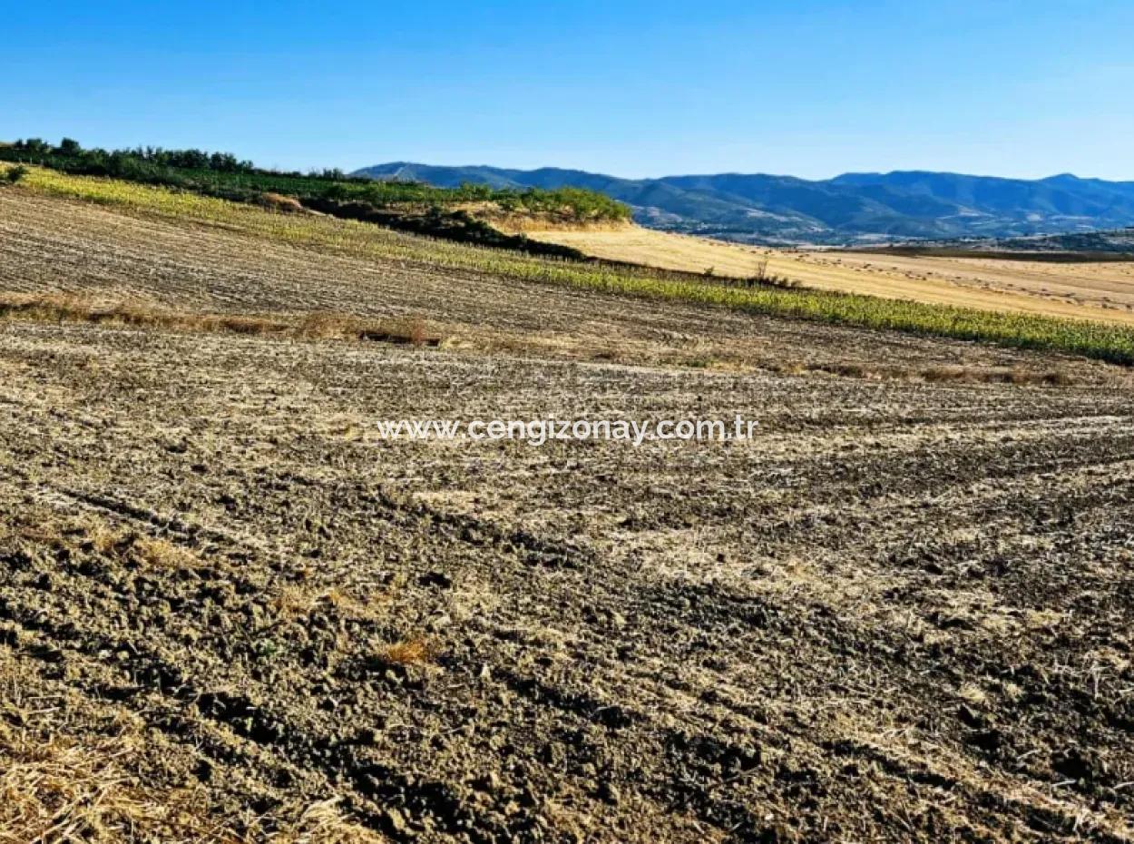 Asyaport Limanı Mevcut İmara Çok Yakın Yatırımlık Yapmak İsteyenler İçin Kaçırılmayacak Fırsat Arazi