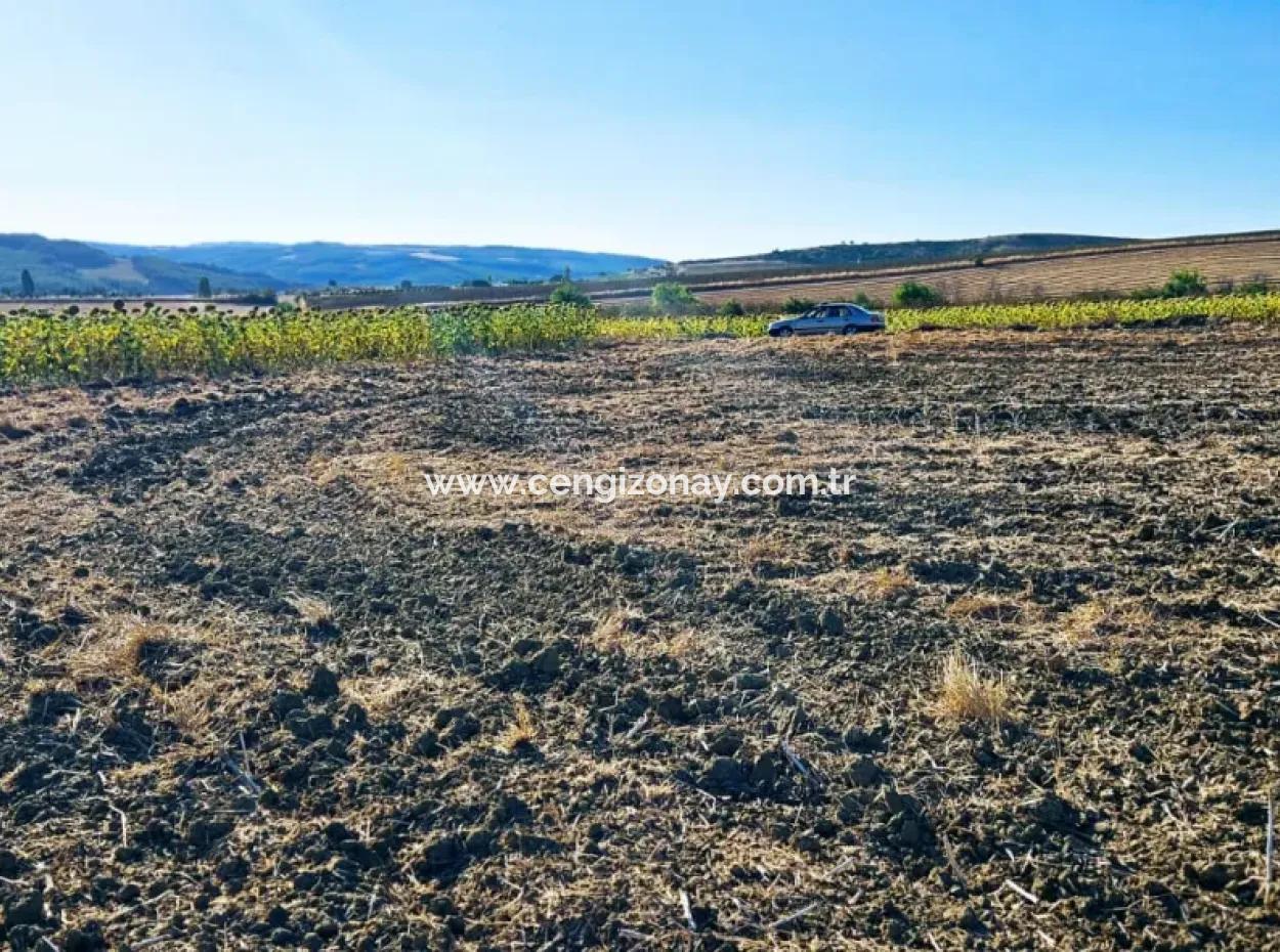 Asyaport Limanı Mevcut İmara Çok Yakın Acil Satılık 17.350 M2 Kelepir Yatırımlık Kupon Tarla