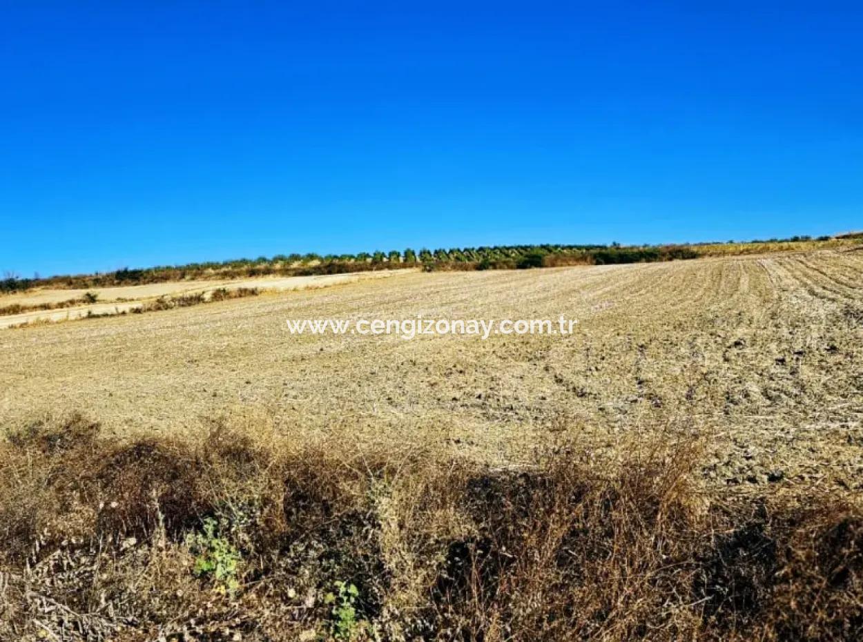 Asyaport Limanı Mevcut İmara Çok Yakın Acil Satılık 17.350 M2 Kelepir Yatırımlık Kupon Tarla