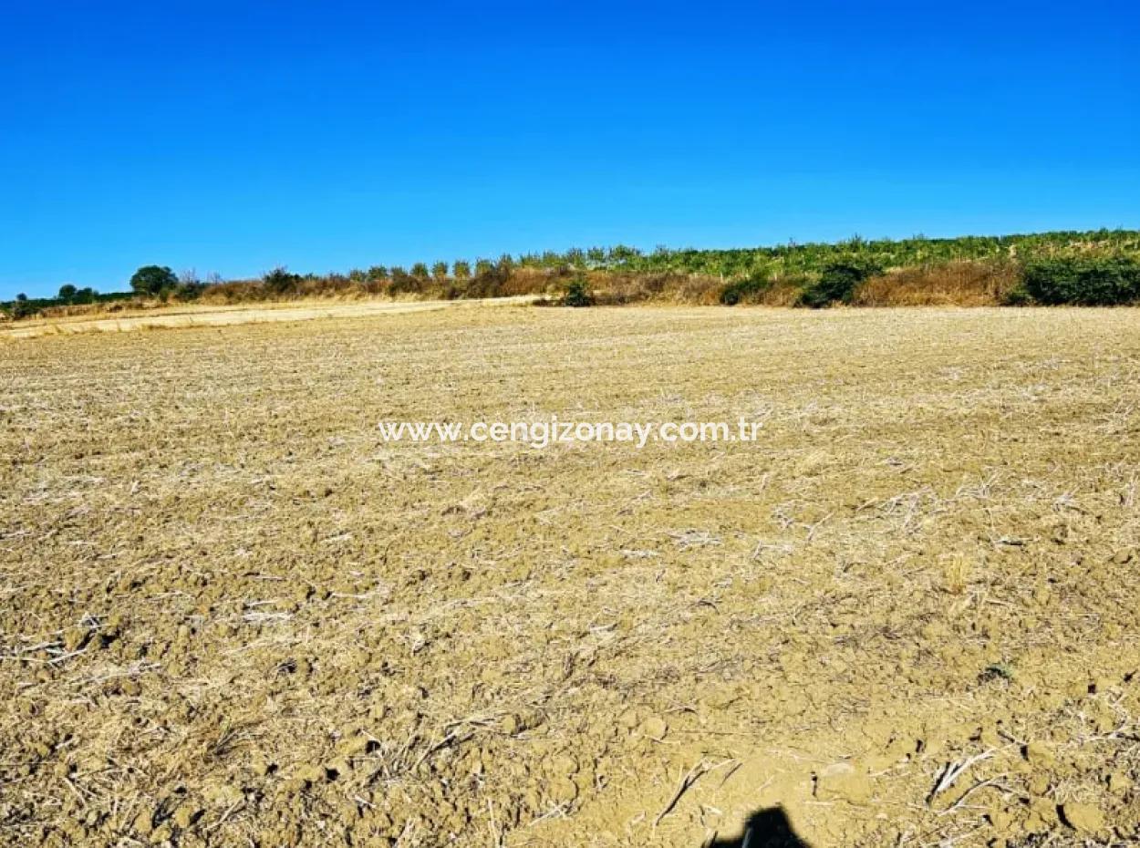 Asyaport Limanı Mevcut İmara Çok Yakın Acil Satılık 17.350 M2 Kelepir Yatırımlık Kupon Tarla