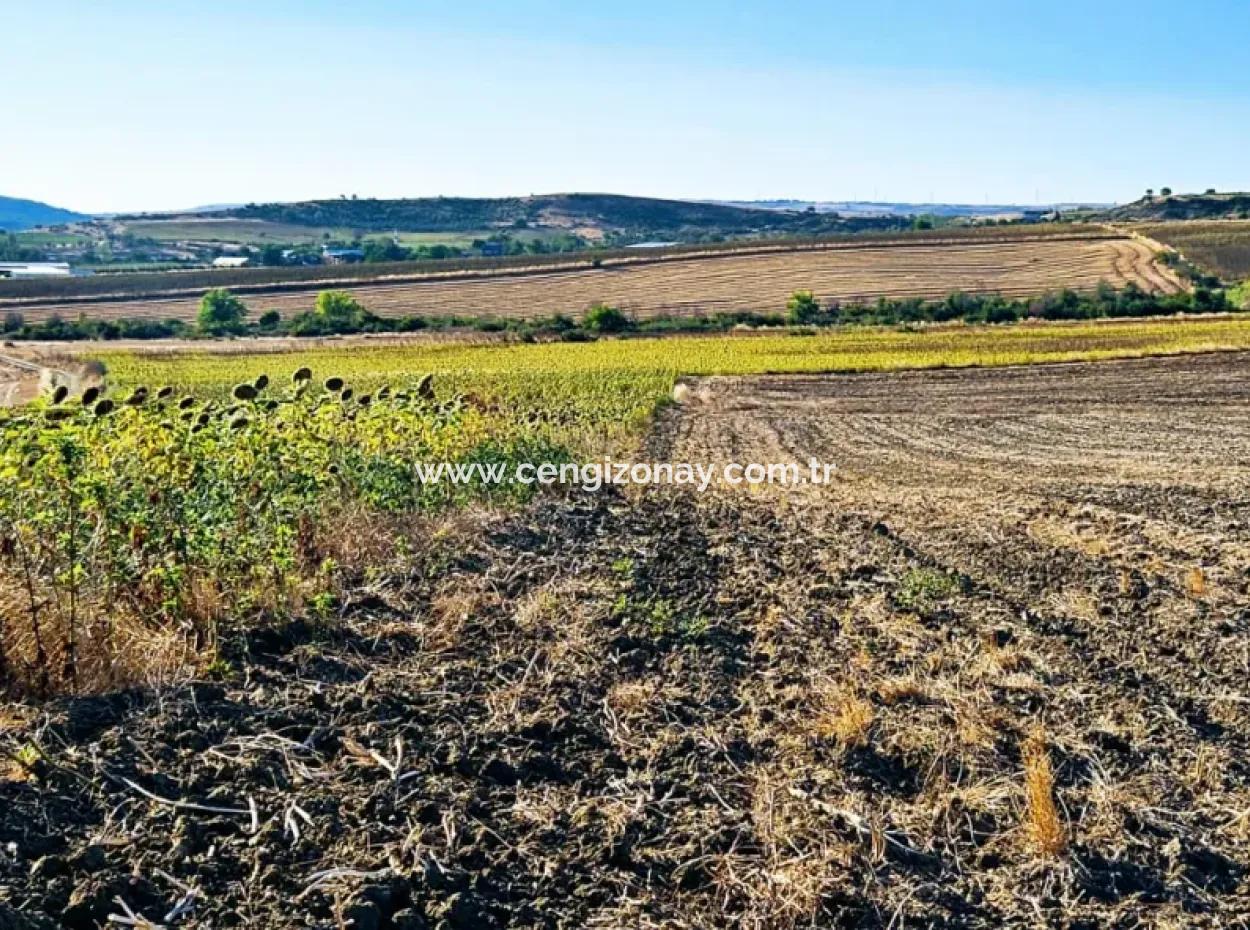 Asyaport Limanı Mevcut İmara Çok Yakın Acil Satılık 17.350 M2 Kelepir Yatırımlık Kupon Tarla