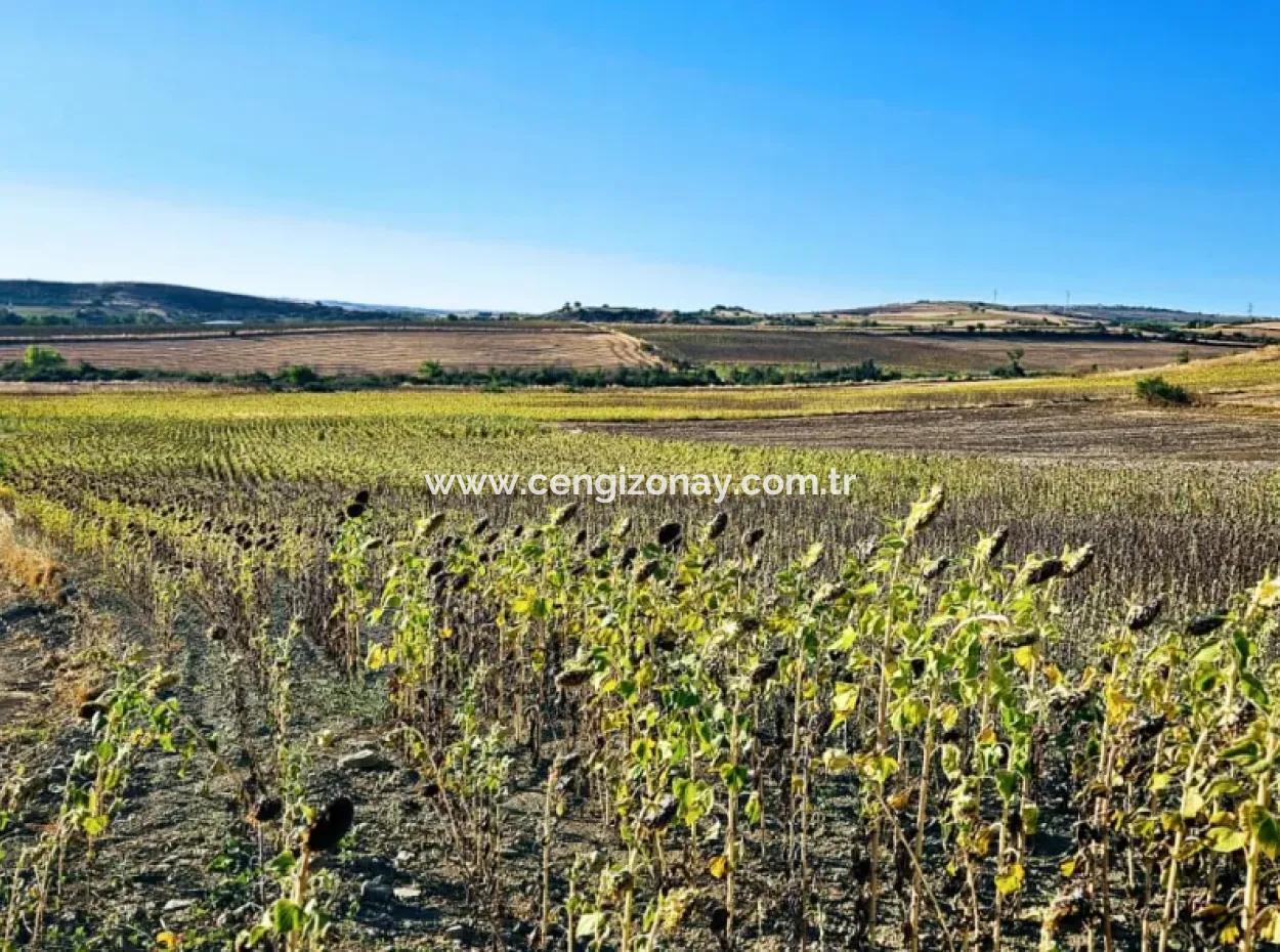 Asyaport Limanı Mevcut İmara Çok Yakın Acil Satılık 17.350 M2 Kelepir Yatırımlık Kupon Tarla