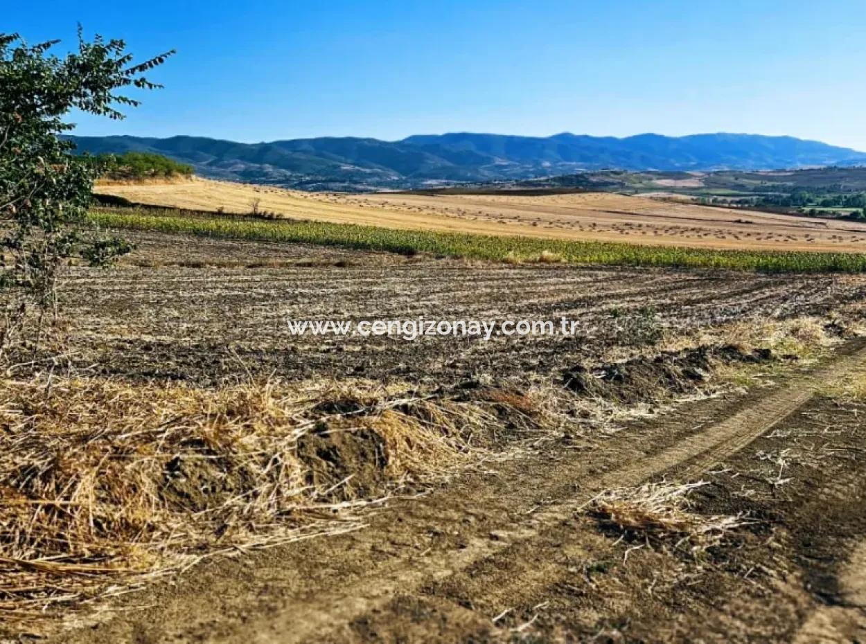 Asyaport Limanı Mevcut İmara Çok Yakın Acil Satılık 17.350 M2 Kelepir Yatırımlık Kupon Tarla