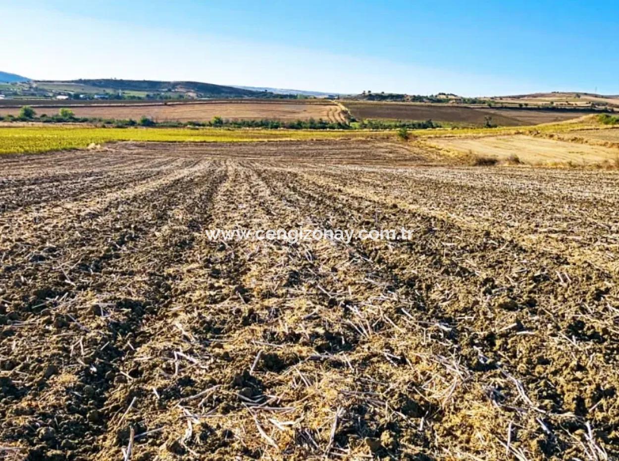 Asyaport Limanı Mevcut İmara Çok Yakın Acil Satılık 17.350 M2 Kelepir Yatırımlık Kupon Tarla