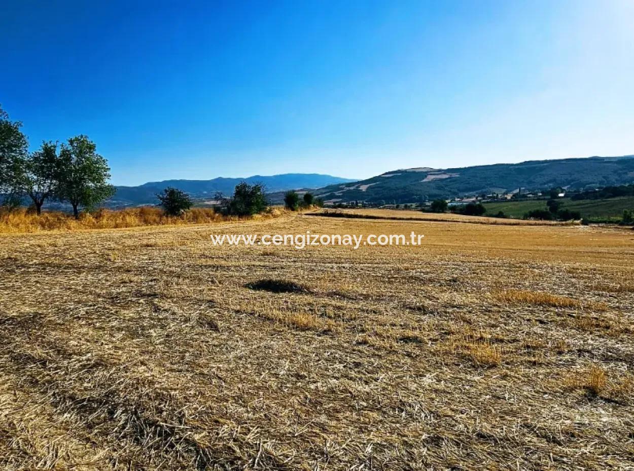 Asyaport Limanı Mevcut İmara Yakın 16.100 Acil Satılık Yatırımlık Kelepir Kupon Tarla