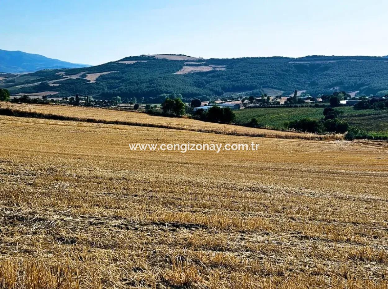 Asyaport Limanı Mevcut İmara Yakın 16.100 Acil Satılık Yatırımlık Kelepir Kupon Tarla