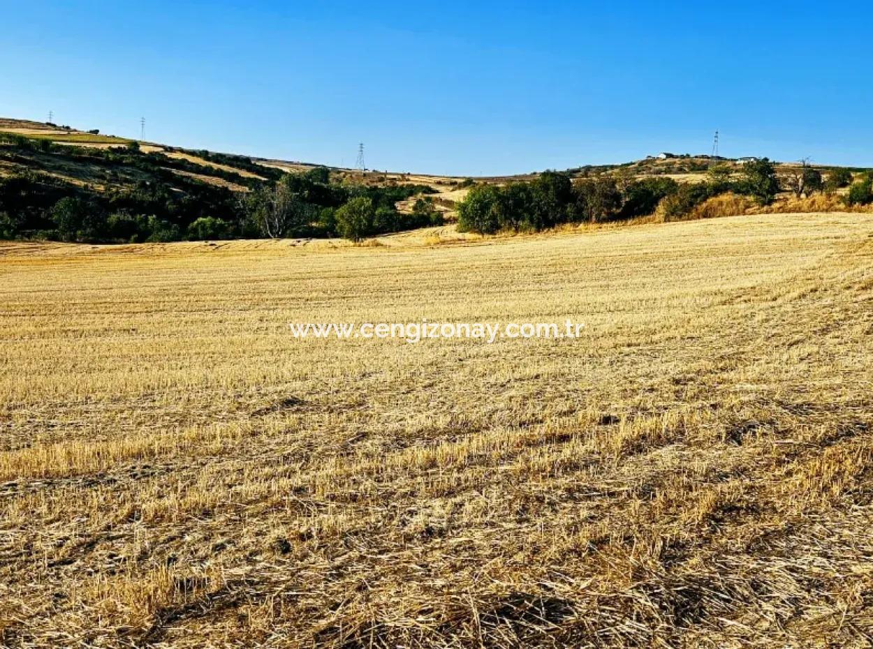 Asyaport Limanı Mevcut İmara Yakın 16.100 Acil Satılık Yatırımlık Kelepir Kupon Tarla