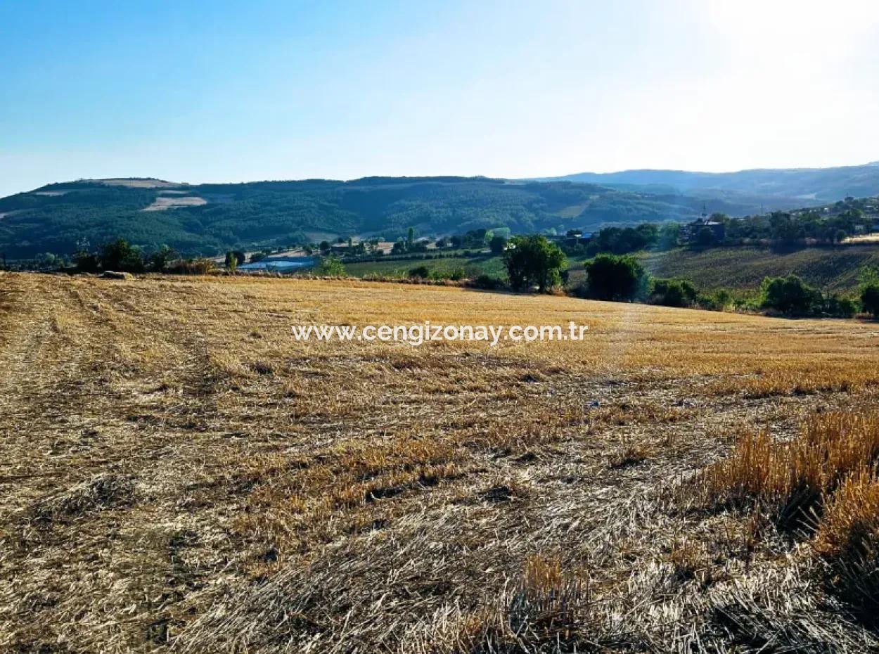 Asyaport Limanı Mevcut İmara Yakın 16.100 Acil Satılık Yatırımlık Kelepir Kupon Tarla