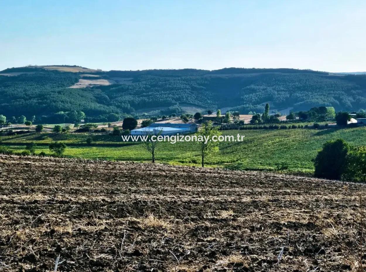 Asyaport Limanı Mevcut İmara Yakın 16.100 Acil Satılık Yatırımlık Kelepir Kupon Tarla