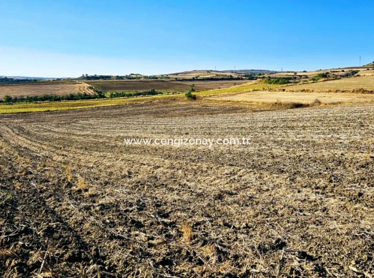 Asyaport Limanı Mevcut İmar Planı İçinde ( Ticari & Sanai ) Alanı Yatırımlık Kupon 8.100 M2 Tarla