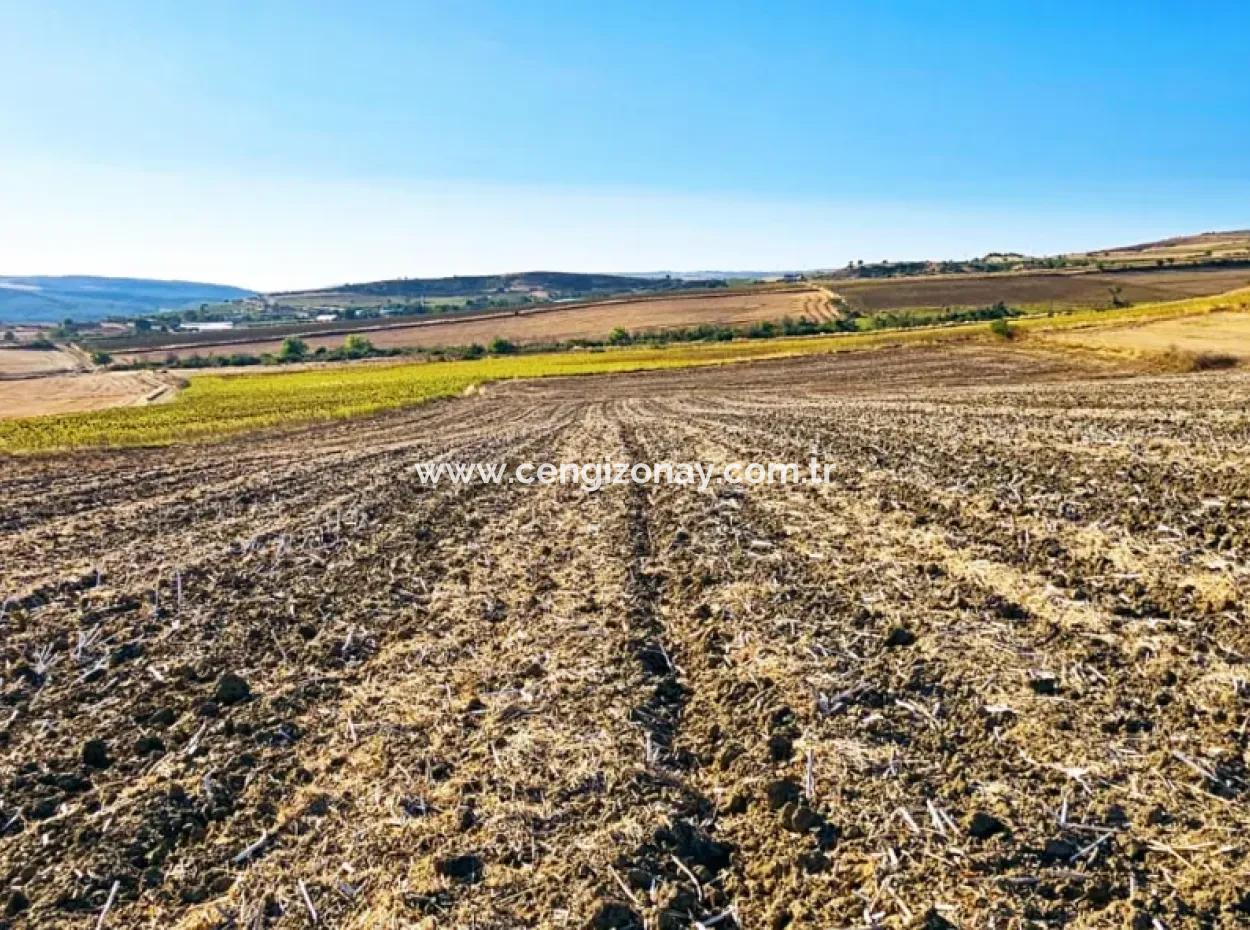 Asyaport Limanı Mevcut İmar Planı İçinde ( Ticari & Sanai ) Alanı Yatırımlık Kupon 8.100 M2 Tarla