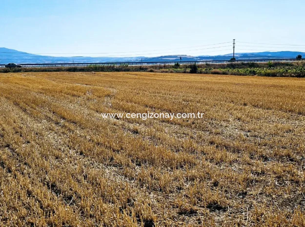 Asyaport Limanı Mevcut İmar Planı İçinde ( Ticari & Sanai ) Alanı Yatırımlık Kupon 8.100 M2 Tarla