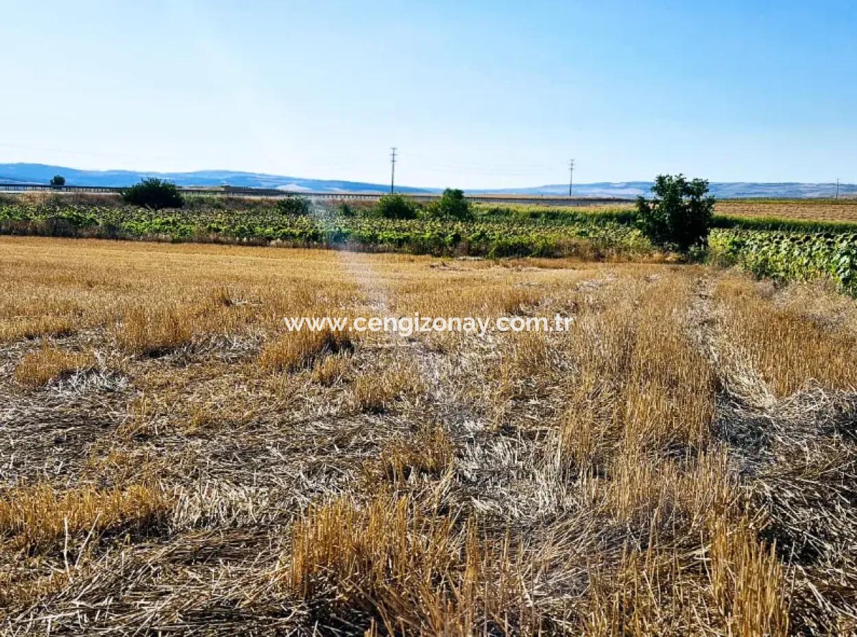 Asyaport Limanı Mevcut İmar Planı İçinde ( Ticari & Sanai ) Alanı Yatırımlık Kupon 8.100 M2 Tarla