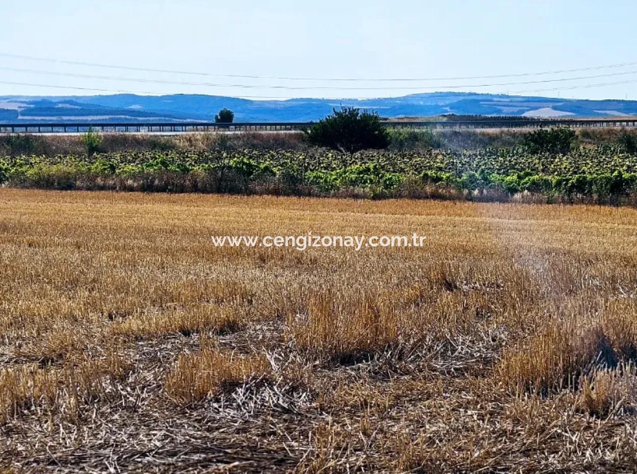 Asyaport Limanı Mevcut İmar Planı İçinde ( Ticari & Sanai ) Alanı Yatırımlık Kupon 8.100 M2 Tarla