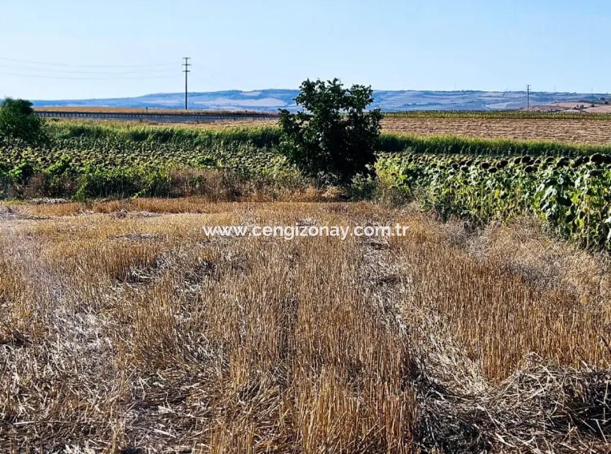 Asyaport Limanı Mevcut İmar Planı İçinde ( Ticari & Sanai ) Alanı Yatırımlık Kupon 8.100 M2 Tarla