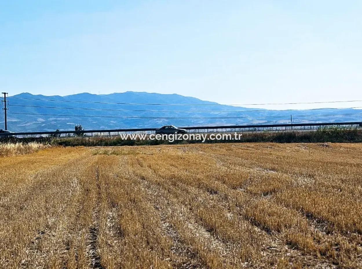 Asyaport Limanı Mevcut İmar Planı İçinde ( Ticari & Sanai ) Alanı Yatırımlık Kupon 8.100 M2 Tarla