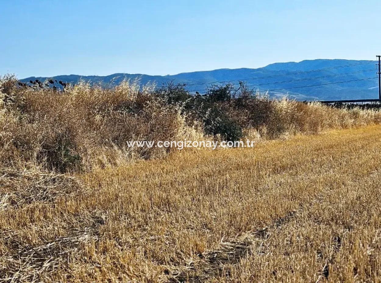 Asyaport Limanı Mevcut İmar Planı İçinde ( Ticari & Sanai ) Alanı Yatırımlık Kupon 8.100 M2 Tarla