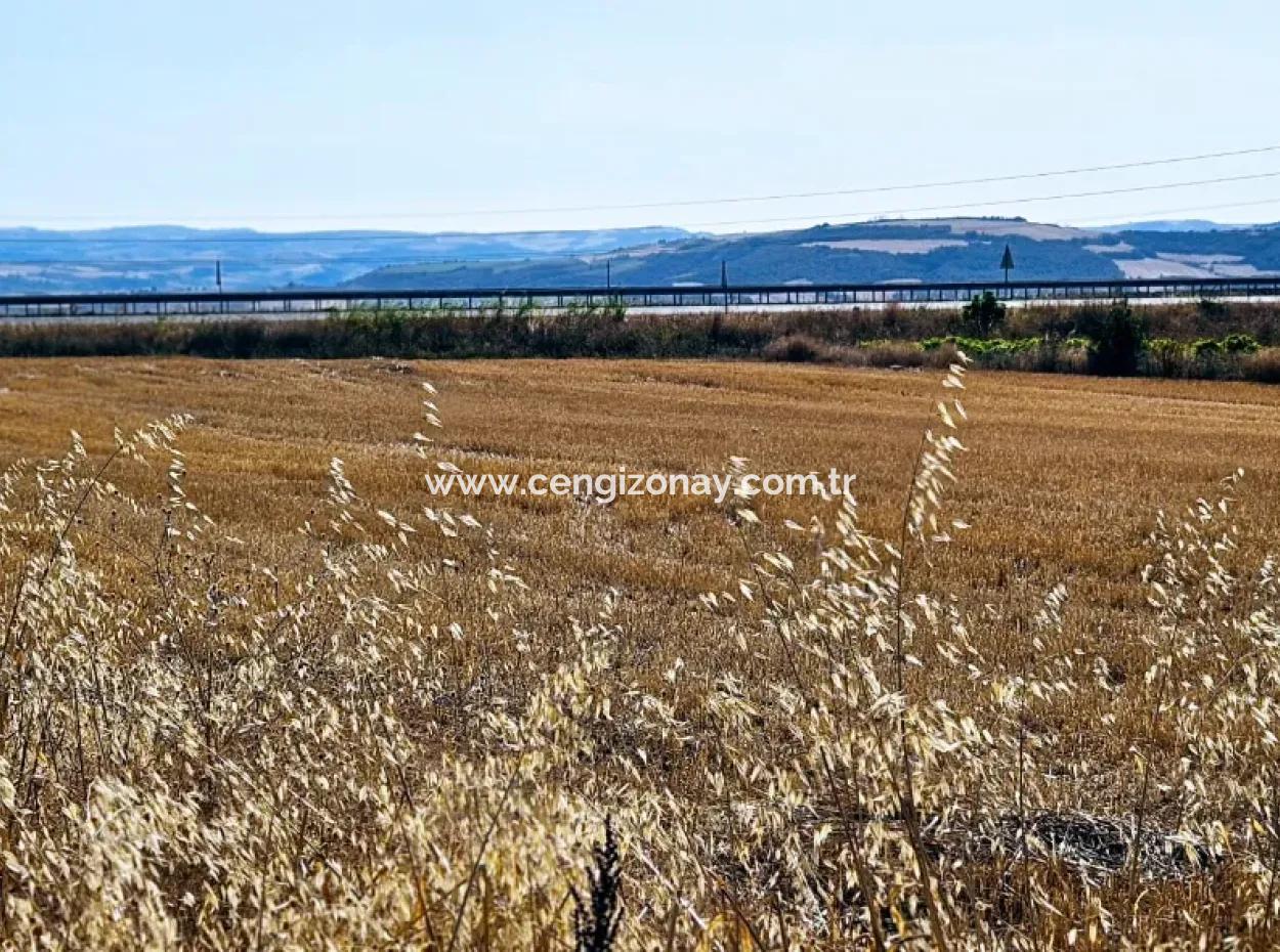 Asyaport Limanı Mevcut İmar Planı İçinde ( Ticari & Sanai ) Alanı Yatırımlık Kupon 8.100 M2 Tarla