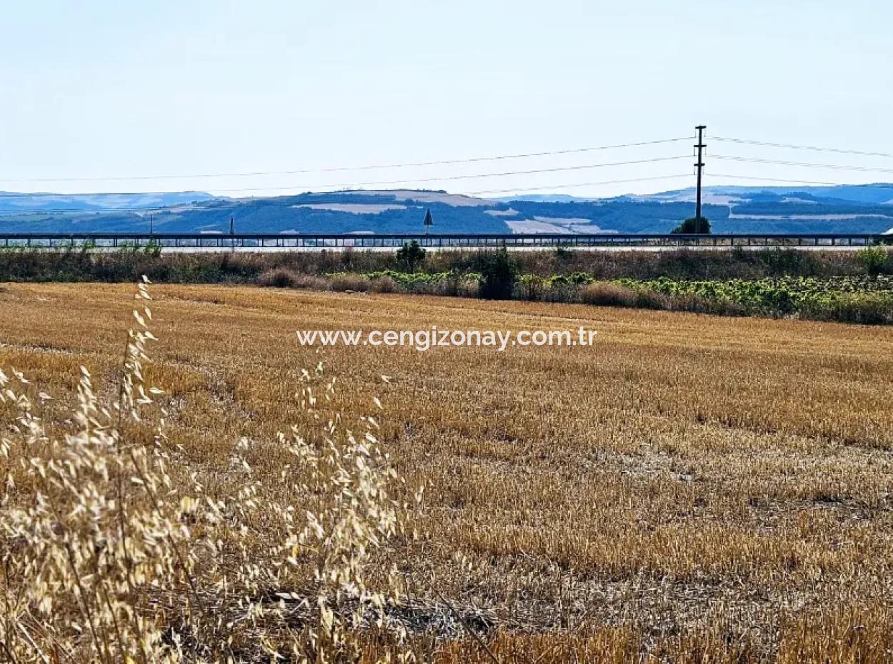 Asyaport Limanı Mevcut İmar Planı İçinde ( Ticari & Sanai ) Alanı Yatırımlık Kupon 8.100 M2 Tarla